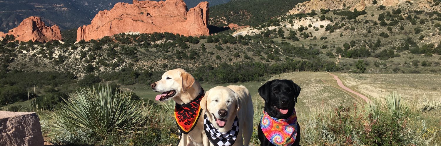 867-5309 (let the reader understand) banner