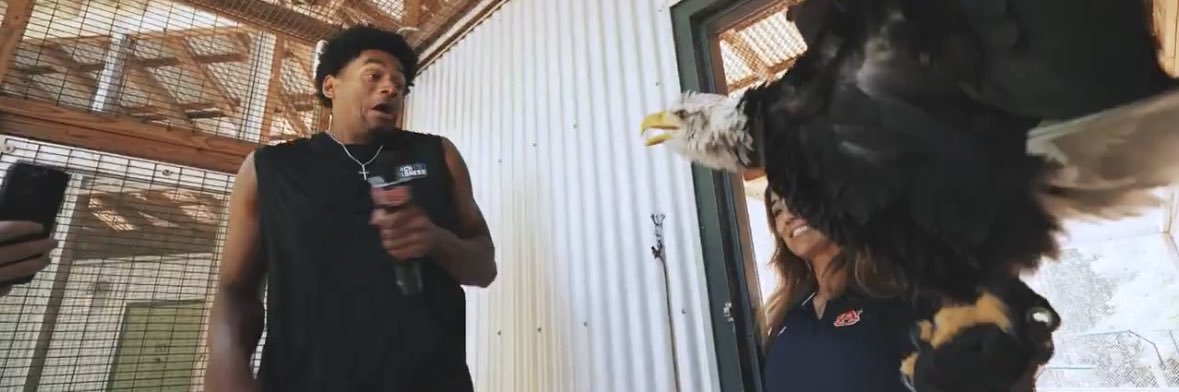 icrayy's profile banner image