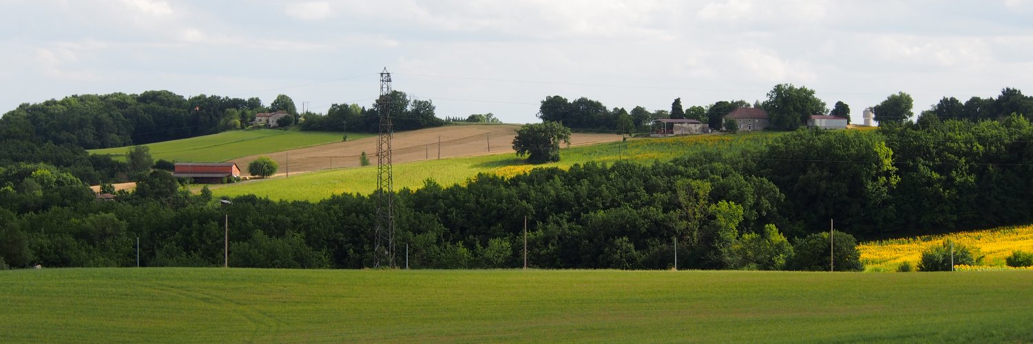 TnsRomane's profile banner image
