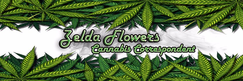4TwentyZelda's profile banner image