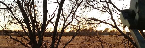 Danny_Stephens1 Profile Banner