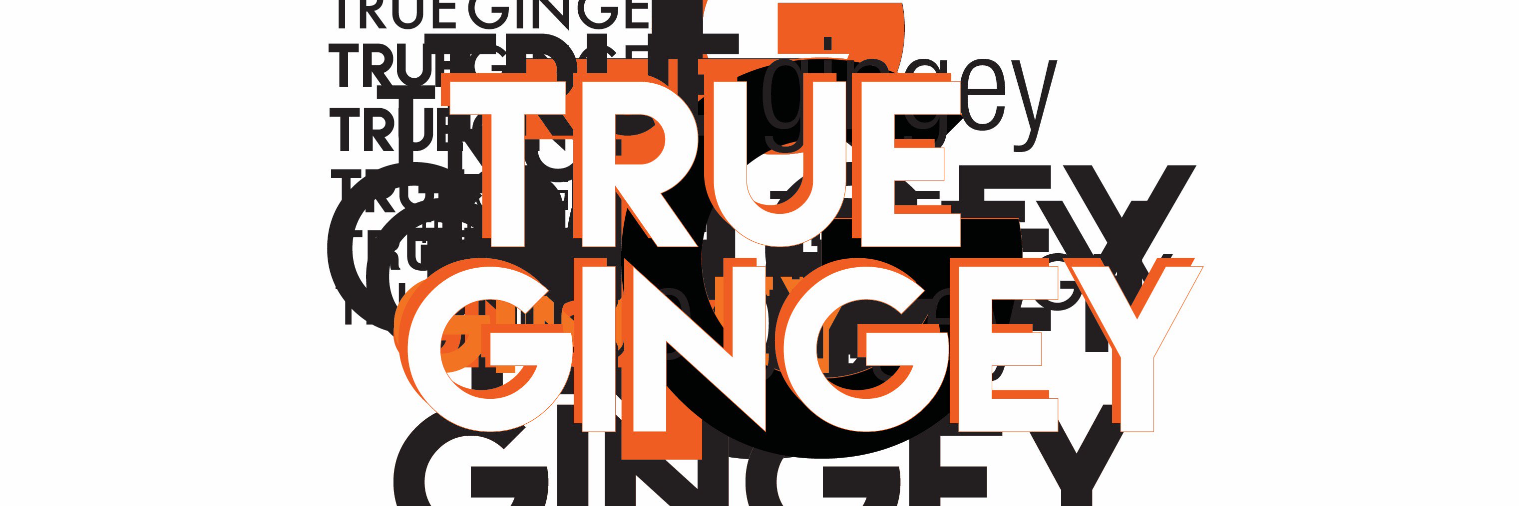 TrueGingey's profile banner image