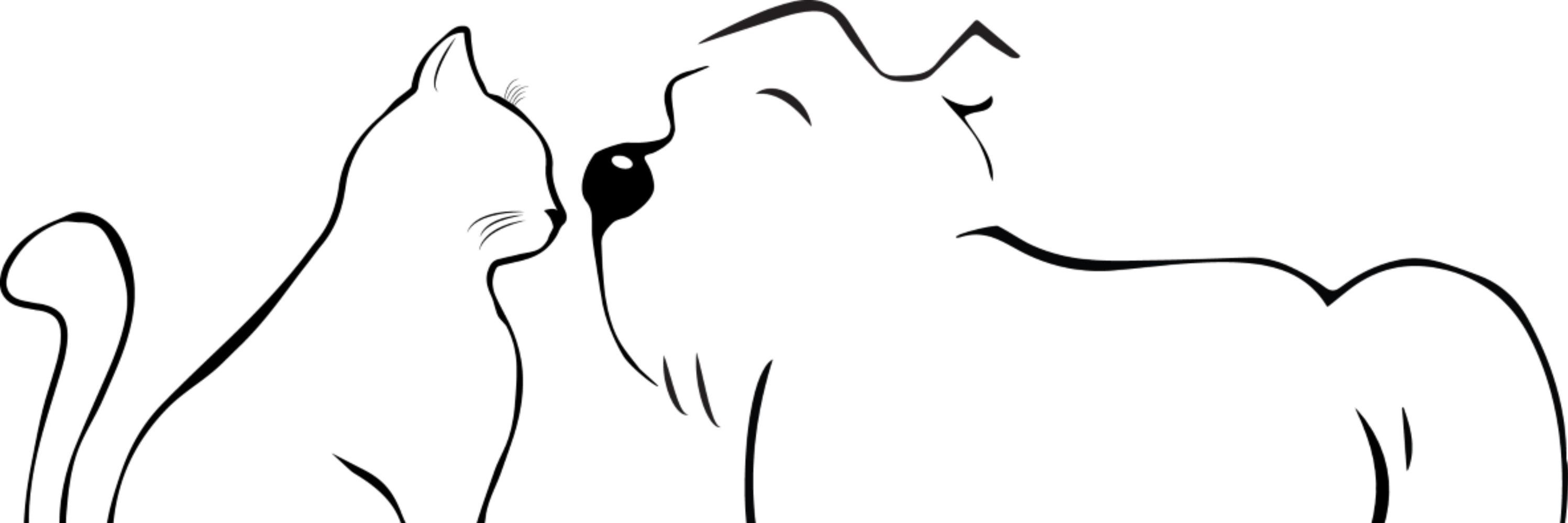PartnersForPets's profile banner image