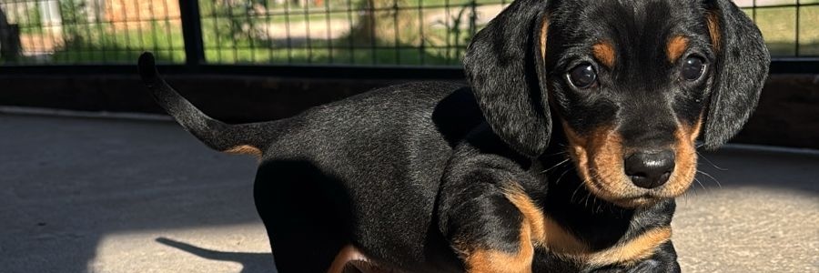 GastonCoronel99's profile banner image