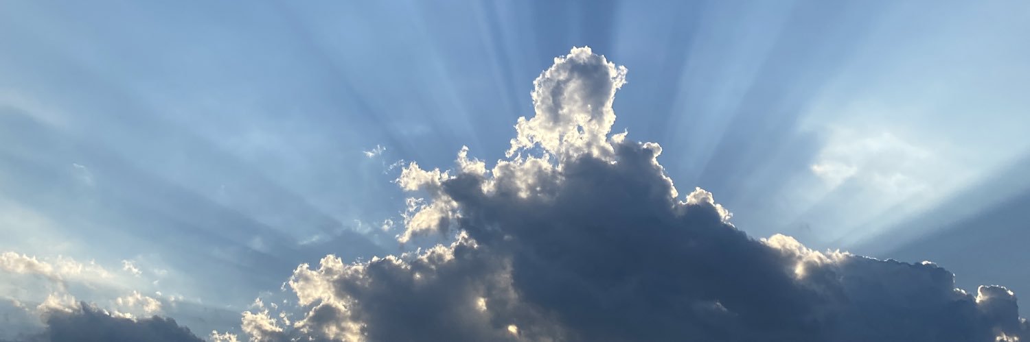 Laurie4Truth's profile banner image