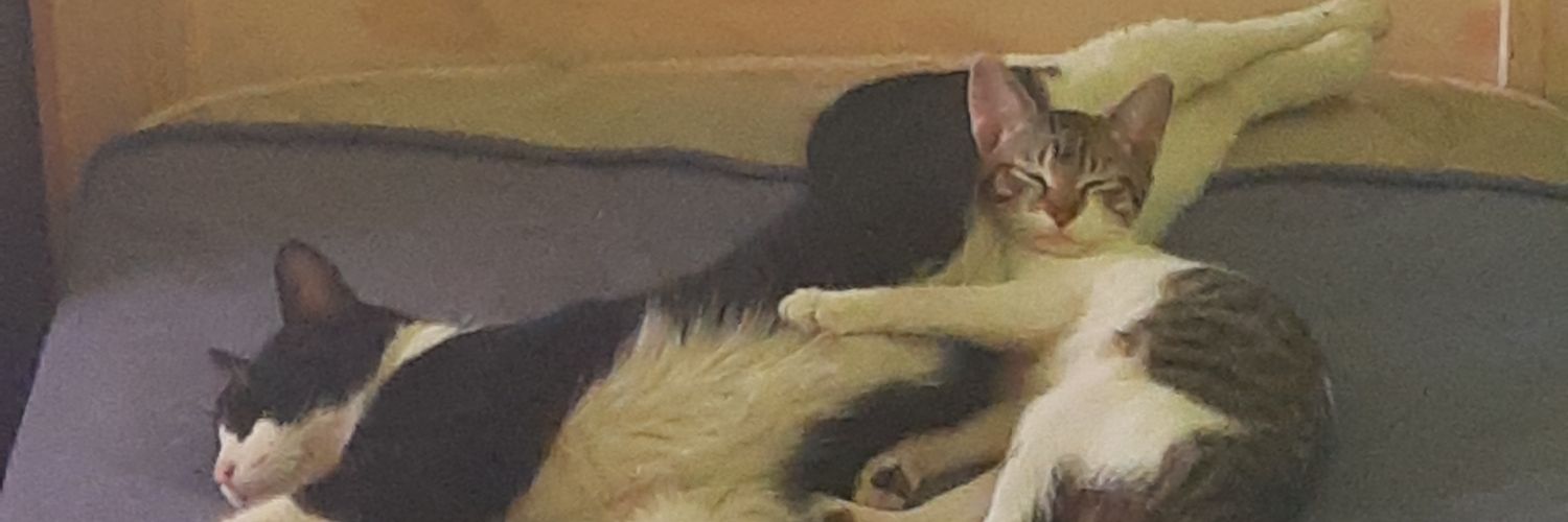 族Nɪᴄᴏ联 banner