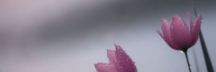 w_j_f8's profile banner image