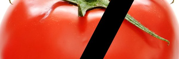 TheGreyJayLP Profile Banner