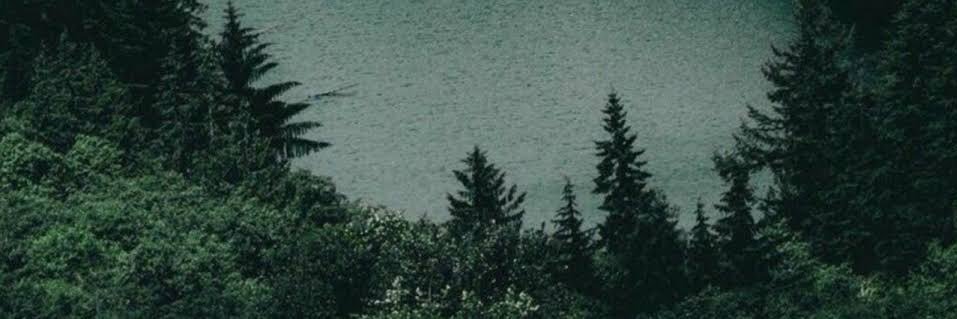 commondden's profile banner image