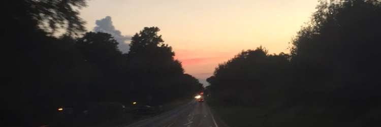 kenzieAPES's profile banner image
