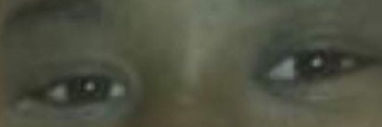 NeonazisPHS's profile banner image