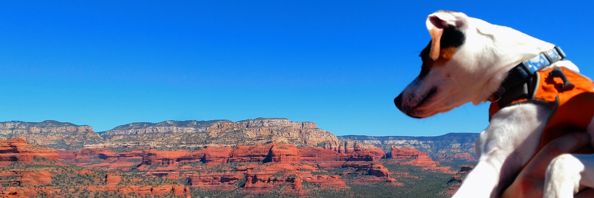 Michelle is avoiding this website now banner