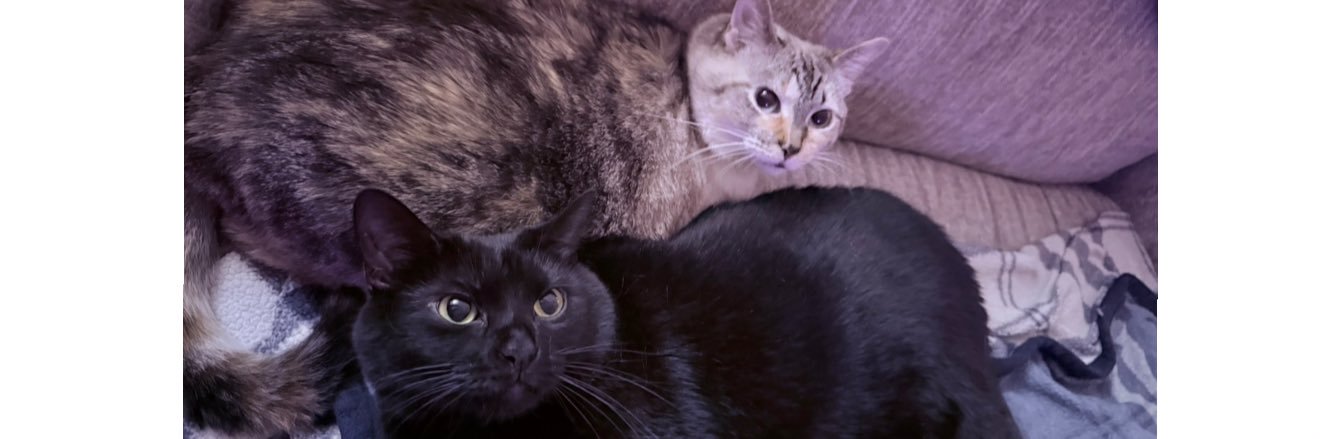 lindsmulaaa's profile banner image