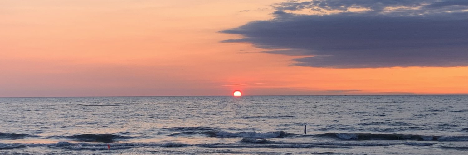 Sara and Raymond 😸 banner