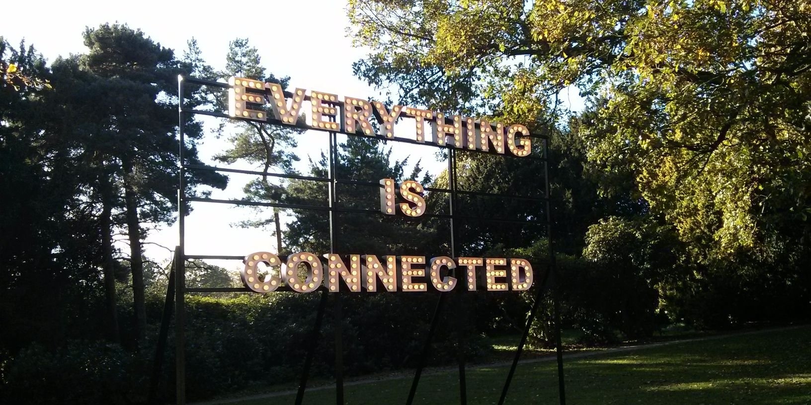 Tom Bassindale banner