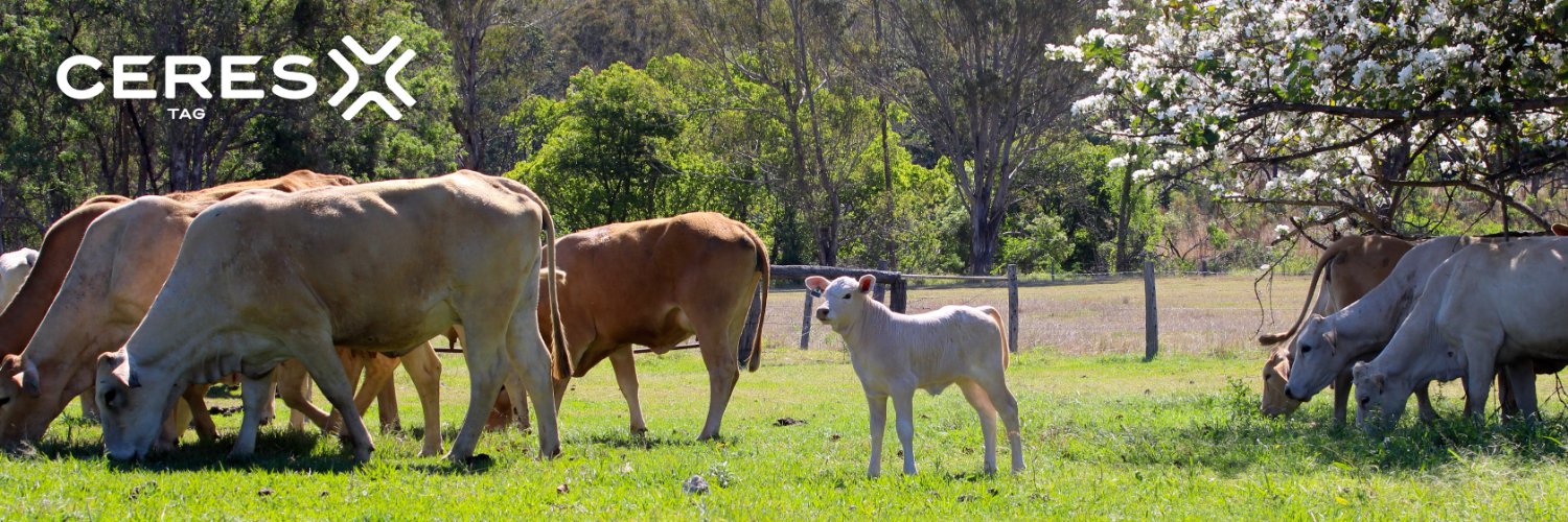 CERES TAG banner