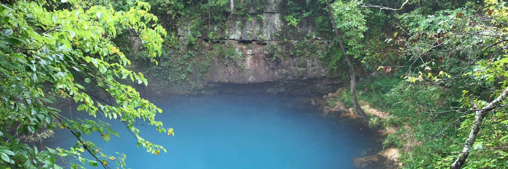 Amanda Jones Drew banner