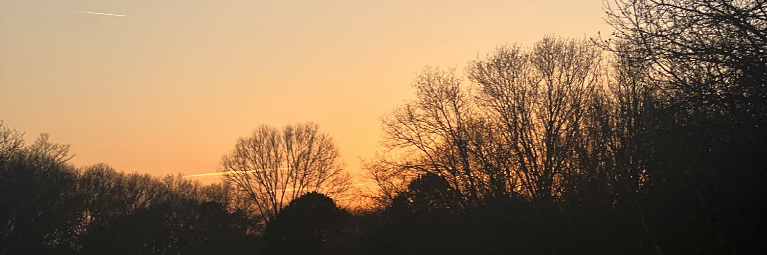 Shay_Mora's profile banner image