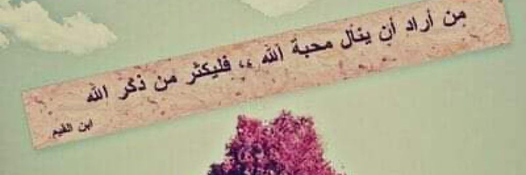 VhabsB's profile banner image