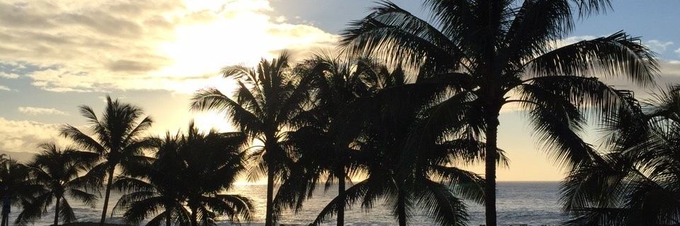 mieko1029's profile banner image