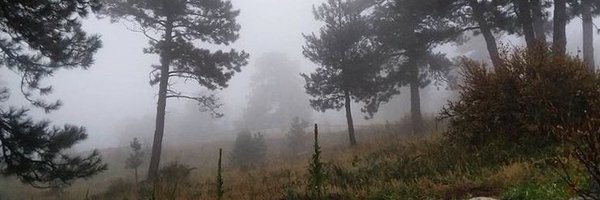 gravexbabe Profile Banner