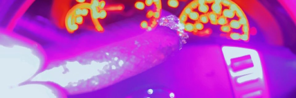 Lorenza banner
