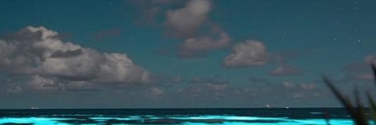 maderusso's profile banner image
