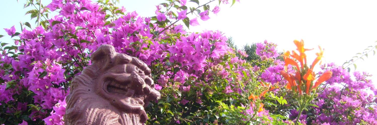 はらちゃん banner