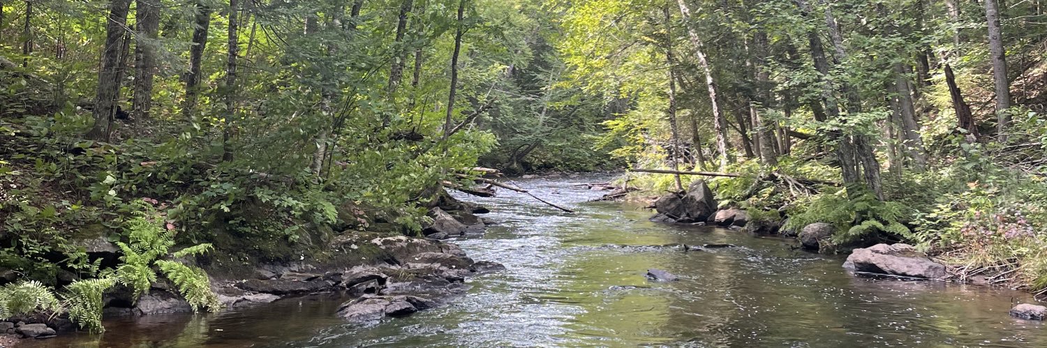 Simon Du Perron banner