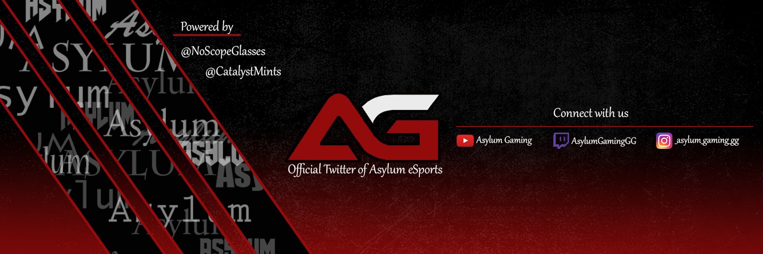 Asylum Gaming banner