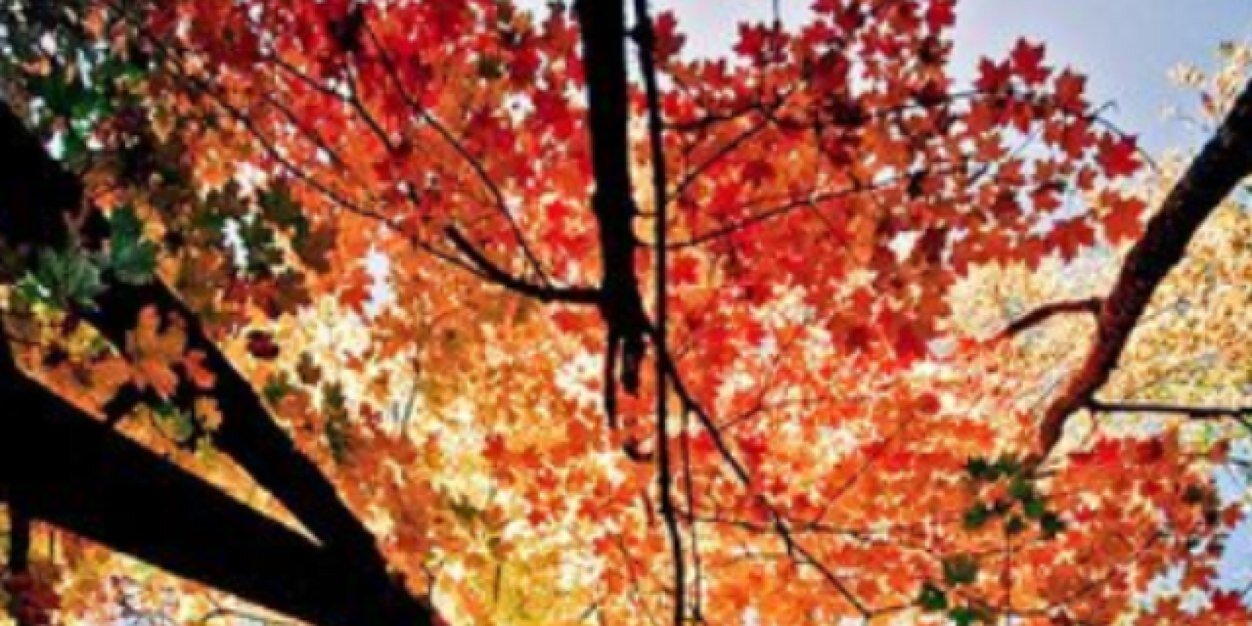 kapillacharya's profile banner image