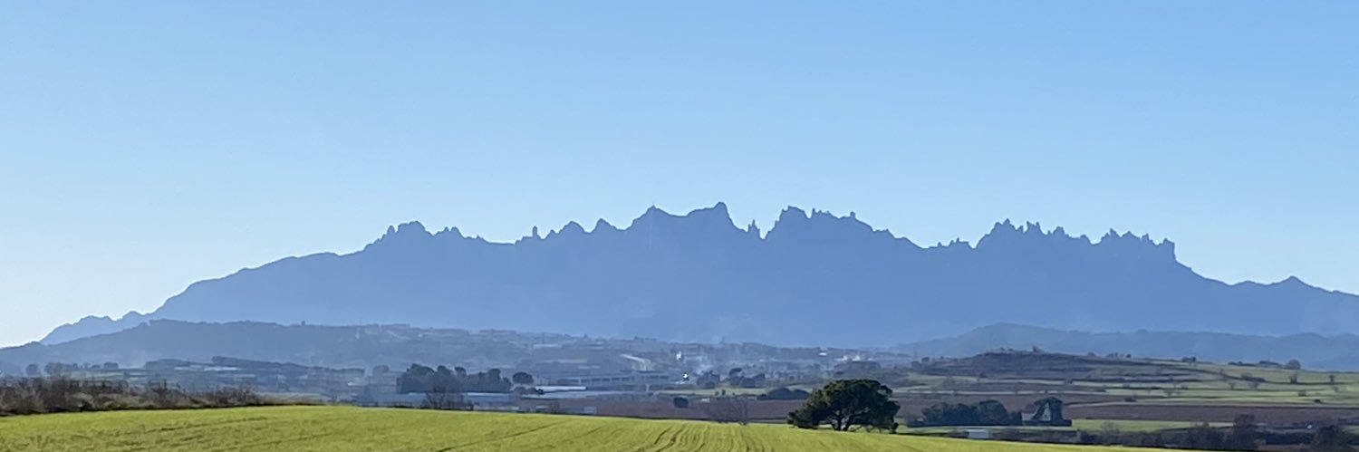 Assumpta Prat banner