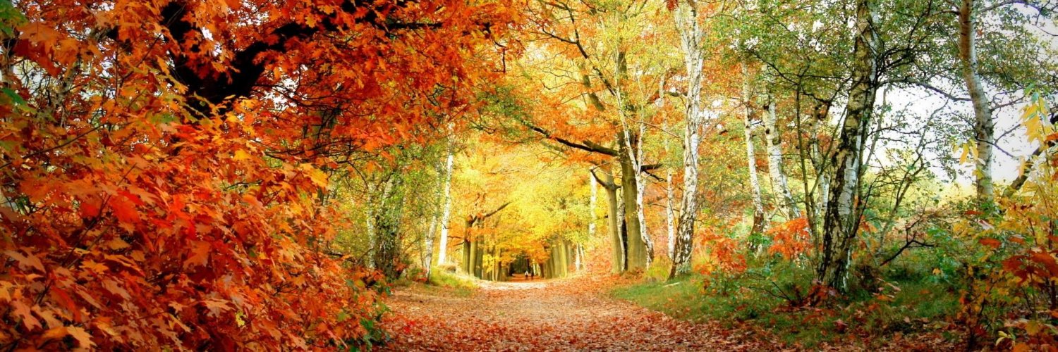 Dynamic time studio banner