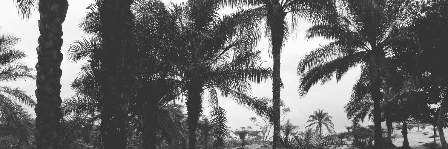 browndesi's profile banner image