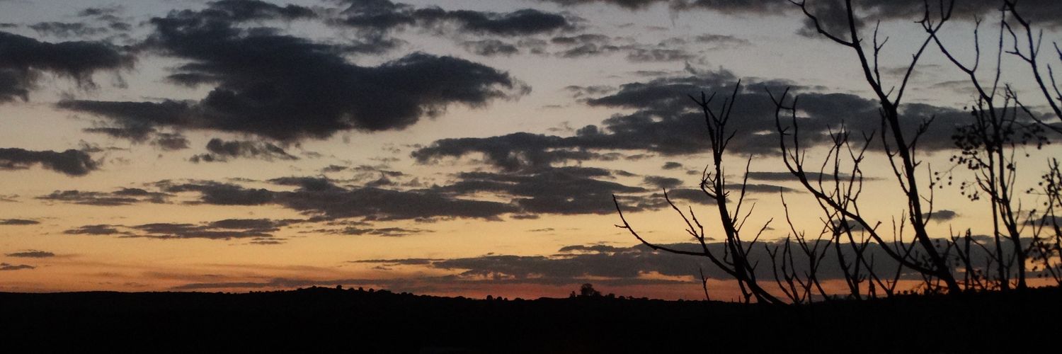 adripato_11's profile banner image