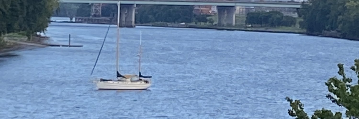 Rachel Williams banner