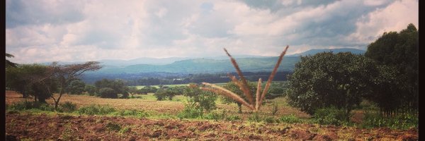 Apollo Agriculture Profile Banner