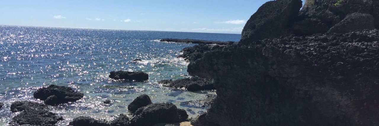 labellapetite's profile banner image