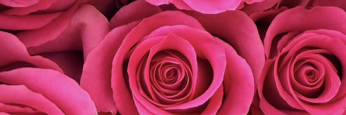 La Santa Diabla banner