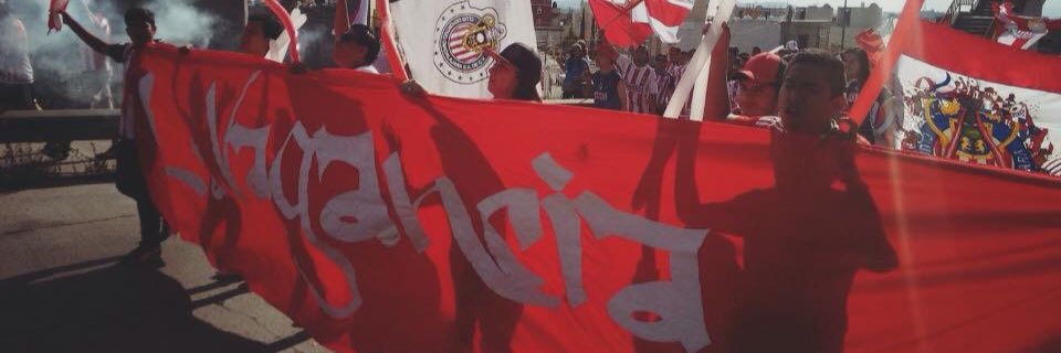 FridaLinares2's profile banner image