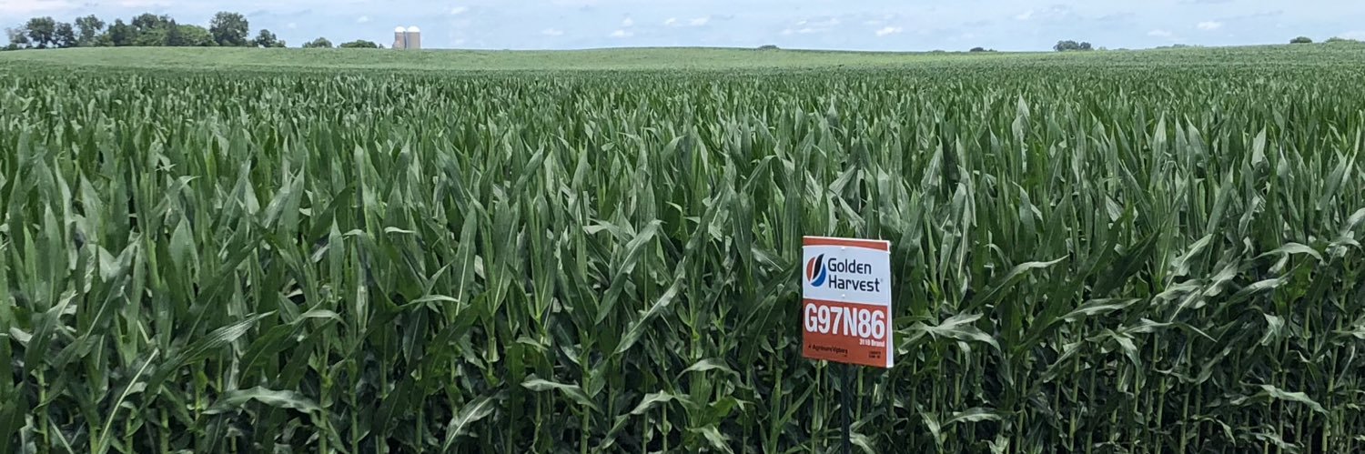 Southern MN GH Team banner