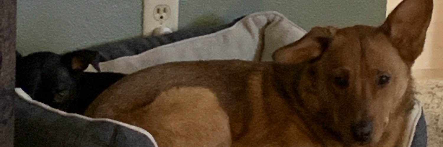 marcyg01's profile banner image