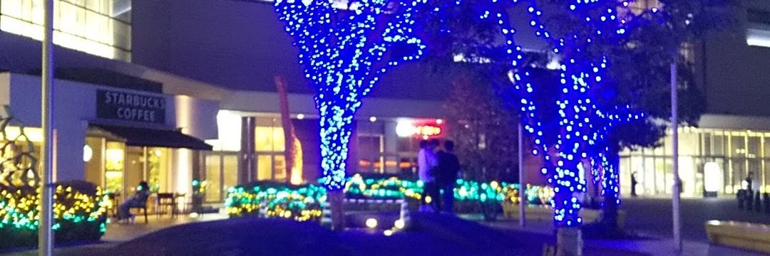 はやかわかずひろ banner