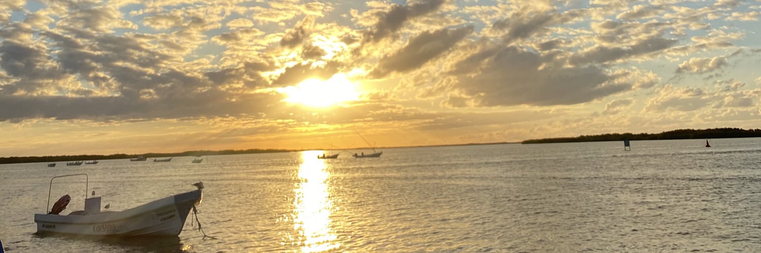 AlejandroDLeon's profile banner image