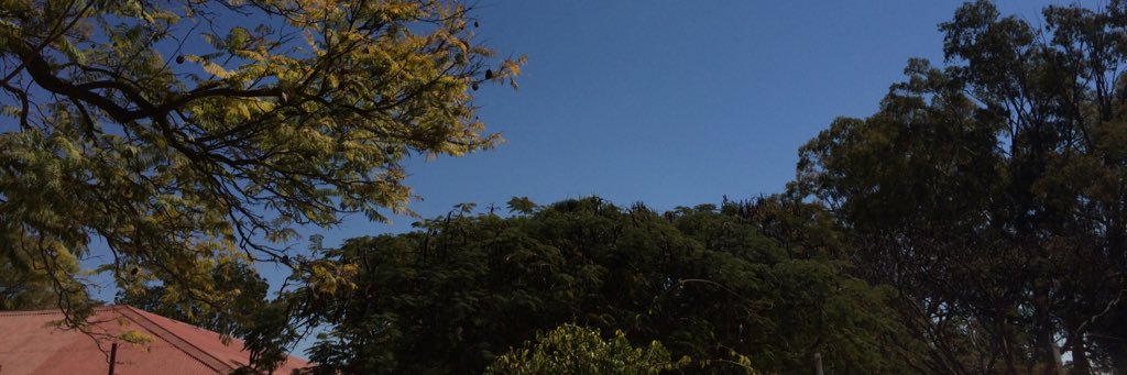 x_rever's profile banner image