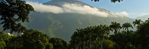 Manakin76 Profile Banner