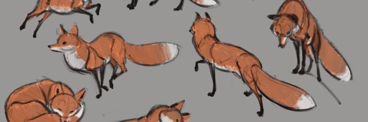 Stephanie Fox banner