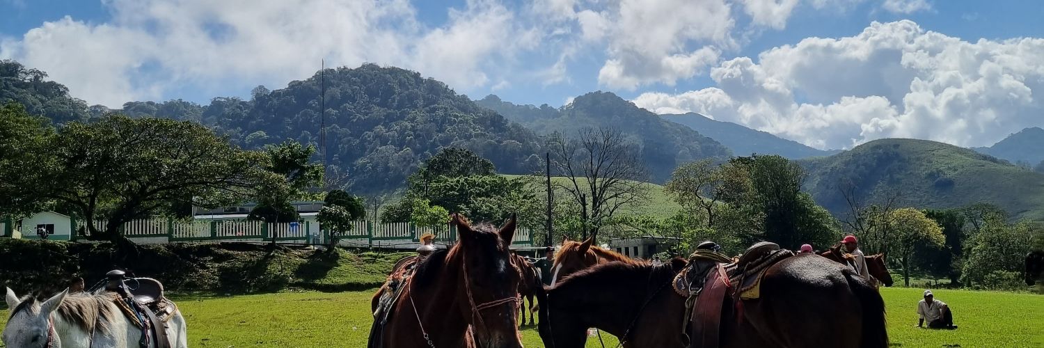 Frida_Linares's profile banner image