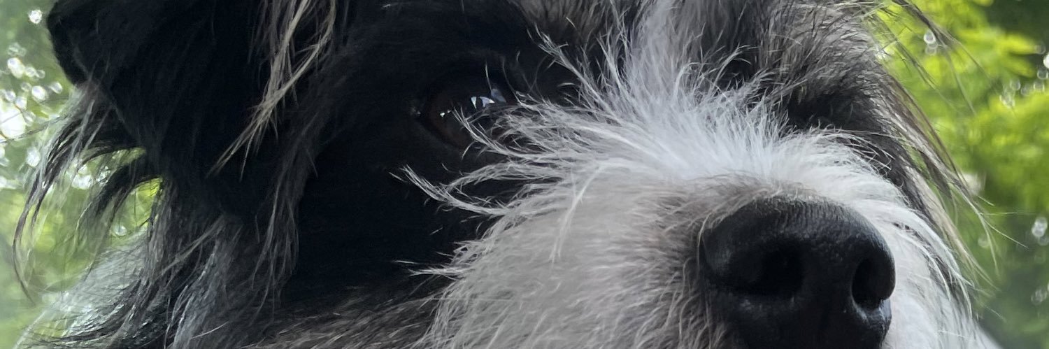 OllyPerkins02's profile banner image