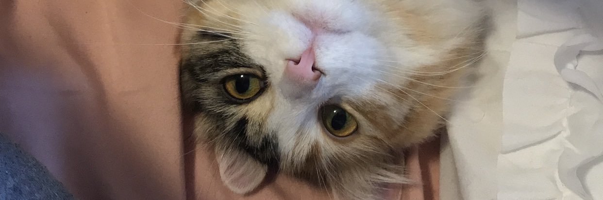 JennaFoley97's profile banner image